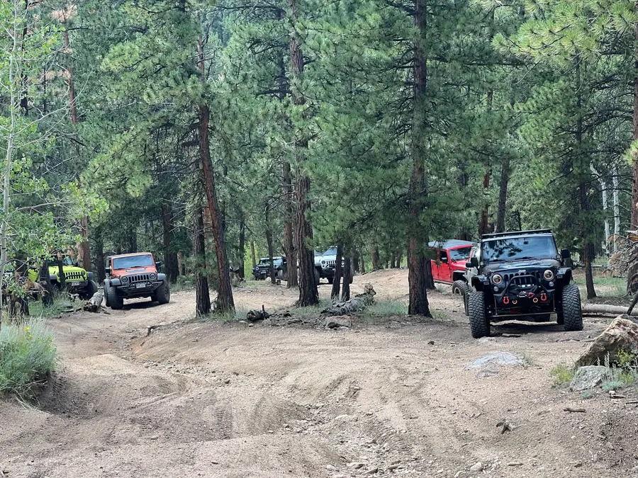 Jeeps and trucks stopped on a forest trail during an Off-Camber club run