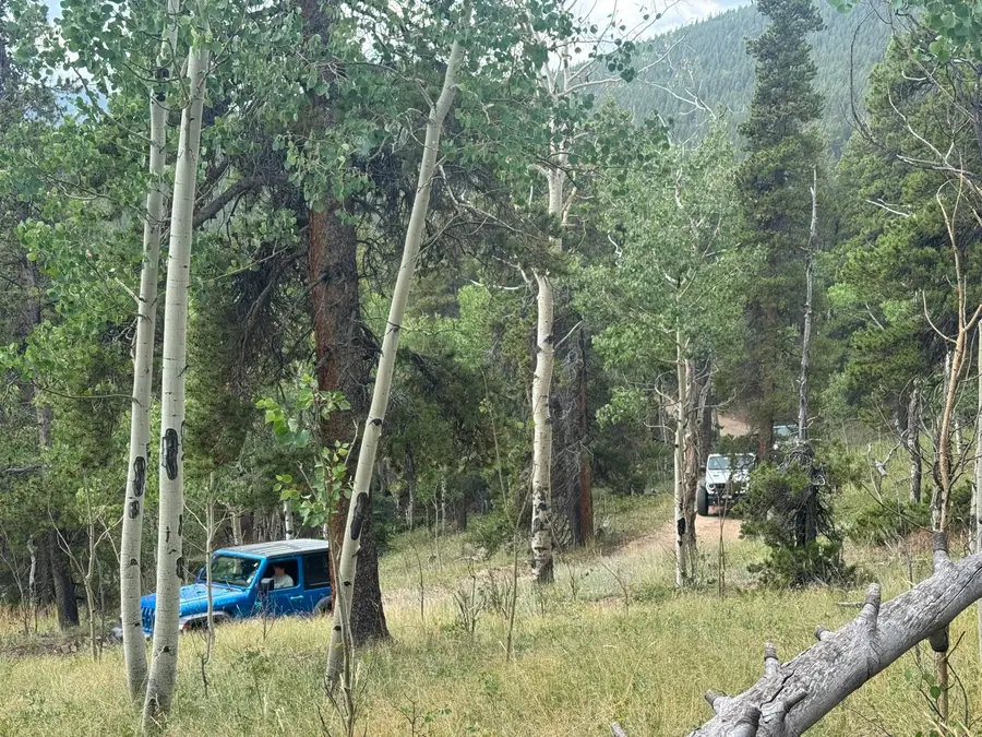 Blue Jeep on a trail through the aspens