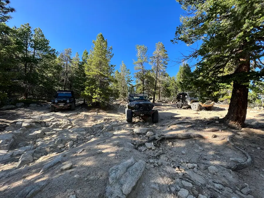 Club rigs lined up on a granite rock trail in the forest