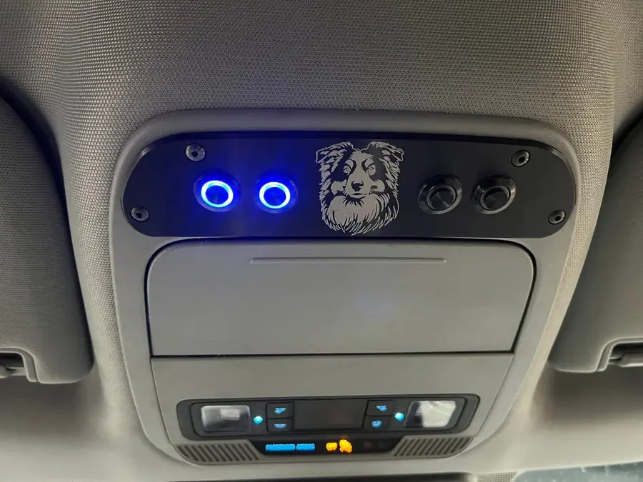 Overhead console with blue-lit switches above the factory map lights in a truck