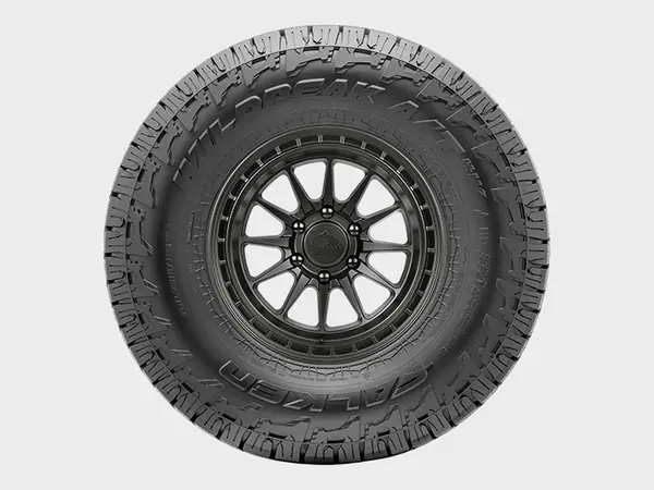 Falken Wildpeak A/T4W tire